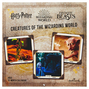 Calendario de pared Harry Potter and Fantastic Beasts Creatures of The Wizarding World 12 - Month 2022