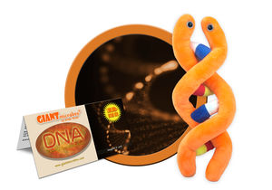 Peluche ADN (Ácido Desoxirribonucleico) Giant Microbes