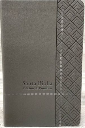 Santa Biblia. Edición de Promesas (Gris)