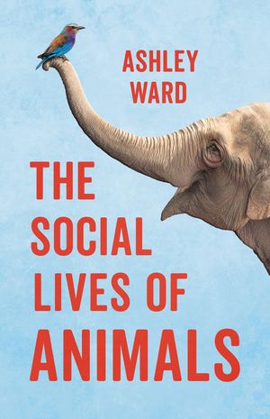 Social lives of animals / Pd.