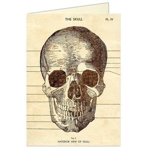 GREETING CARDS THE SKULL