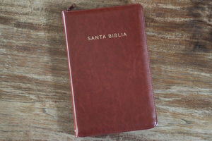 Biblia Reina Valera 1960 (Letra grande - Símil piel canela, cremallera, tamaño manual)