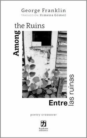 Among the ruins / Entre las ruinas (Edición bilingüe)