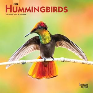 Hummingbirds 2022 Mini