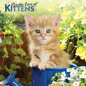 Calendario Kittens 2022 mini