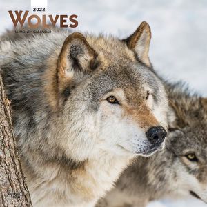 Calendario Wolves 2022