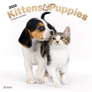 Calendario Kittens Puppies 2022