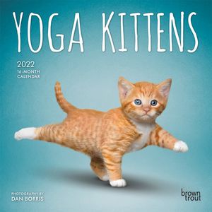 Calendario Yoga Kittens 2022 mini