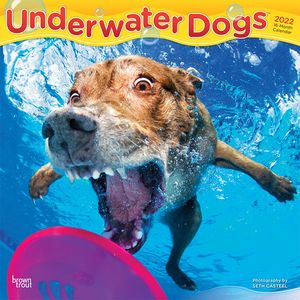 Calendario Underwater Dogs 2022