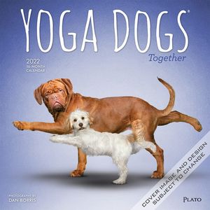 Calendario Yoga Dogs 2022