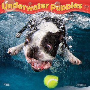 Calendario Underwater Puppies 2022