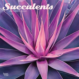 Calendario Succulents 2022