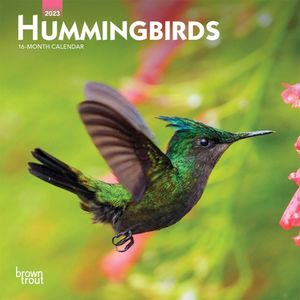 Calendario 2023 Hummingbirds Mini