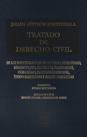 Tratado de derecho civil / Tomo X