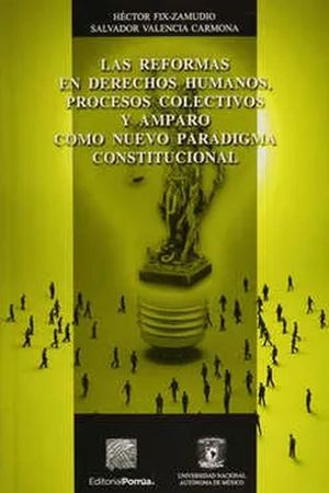 Reformas en derechos humanos procesos colectivos y amparo / 3 ed.
