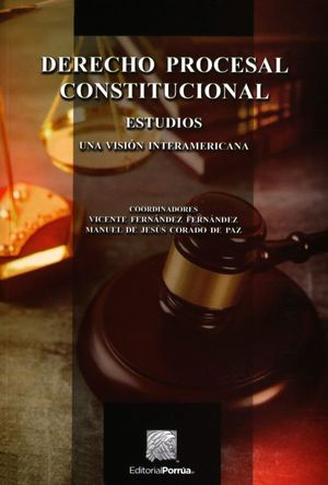 Derecho procesal constitucional. Estudios. Una visión interamericana