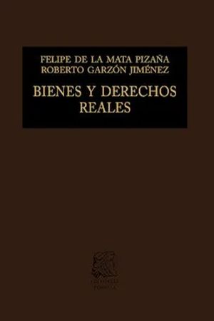 Bienes y derechos reales / 13 ed. / Pd.