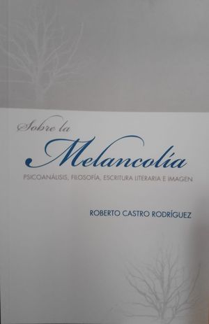 Sobre la melancolía. Psicoanálisis, filosofía, escritura literaria e imagen / 2 ed.