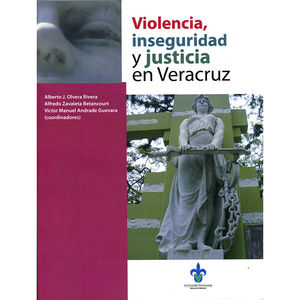 IBD - Violencia, inseguridad y justicia en Veracruz / 2 ed.