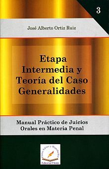 ETAPA INTERMEDIA Y TEORIA DEL CASO. GENERALIDADES