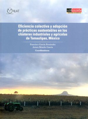 Eficiencia colectiva y adopción de prácticas sustentables en los clústeres industriales y agrícolas de Tamaulipas, México