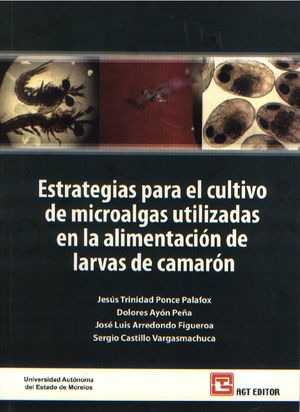 Estrategias para el cultivo de microalgas utilizadas en la alimentación de larvas de camarón