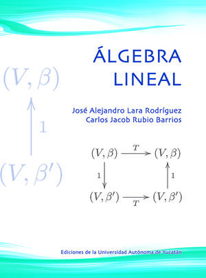 IBD - Álgebra lineal