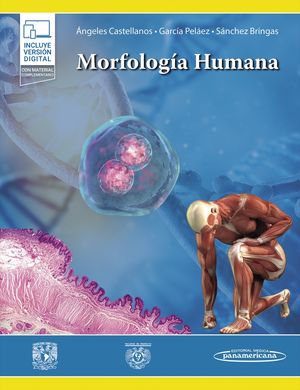 Morfología Humana / pd.