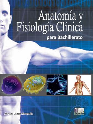 Anatomía y fisiología clínica