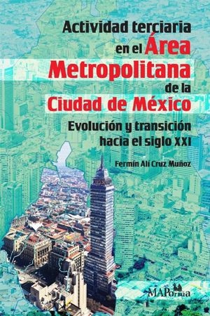 Actividad terciaria en el Área Metropolitana de la Ciudad de México. Evolución y transición hacia el siglo XXI