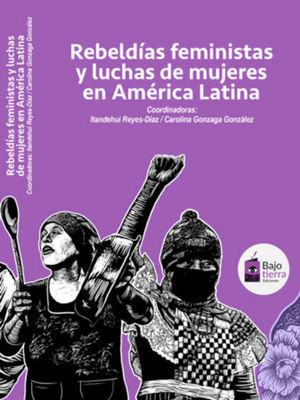Rebeldías feministas y movimientos sociales de mujeres en América Latina
