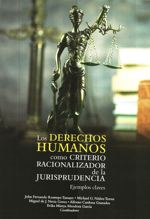 Derechos humanos como criterios racionalizador de la jurisprudencia