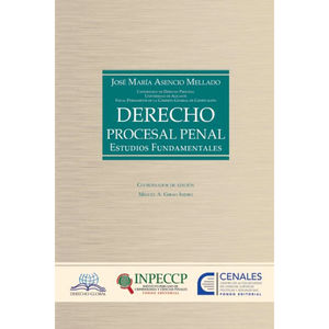 DERECHO PROCESAL PENAL. ESTUDIOS FUNDAMENTALES