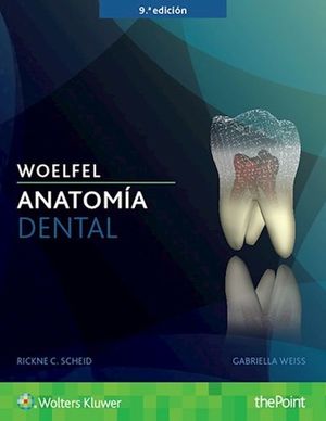 Woelfel. Anatomía Dental / 9 ed.