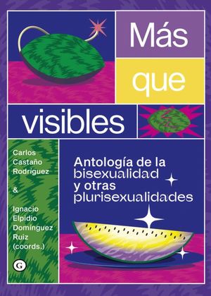 Más que visibles. Antología de la bisexualidad y otras plurisexualidades