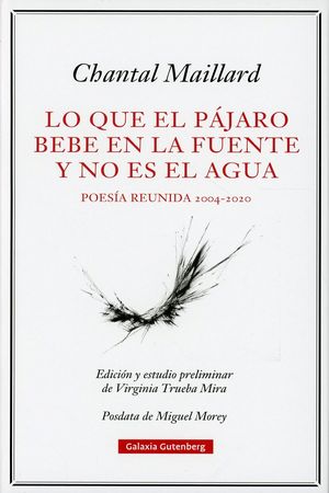 Lo que el pájaro bebe en la fuente y no es el agua. Poesía reunida 2004-2020 / Pd.