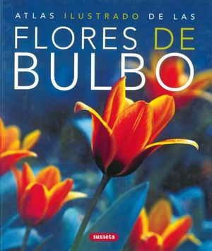 FLORES DE BULBO / PD.