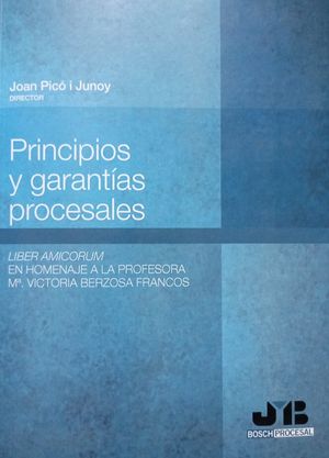 Principios y garantias procesales