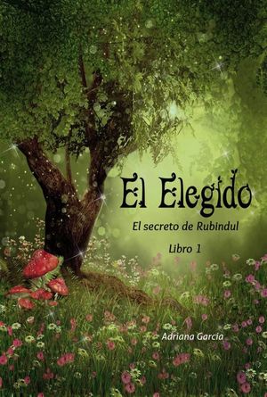 ELEGIDO, EL / EL SECRETO DE RUBINDUL / LIBRO 1