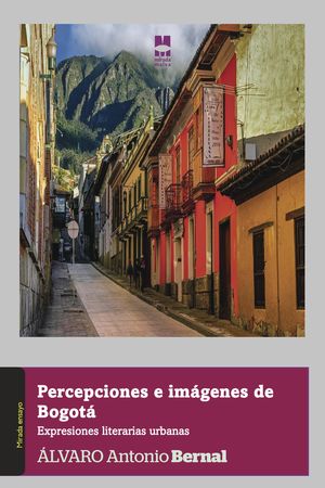 IBD - Percepciones e imágenes de Bogotá