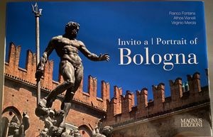 Invito A Bologna. Portrait Of Bologna / pd.