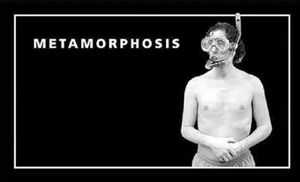Metamorphosis. Flip Book