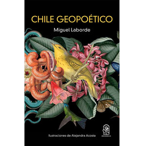 IBD - Chile geopoético