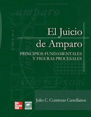 JUICIO DE AMPARO, EL. PRINCIPIOS FUNDAMENTALES Y FIGURAS PROCESALES / PD.