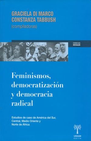 FEMINISMOS DEMOCRATIZACION Y DEMOCRACIA RADICAL