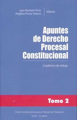 APUNTES DE DERECHO PROCESAL CONSTITUCIONAL / TOMO 2