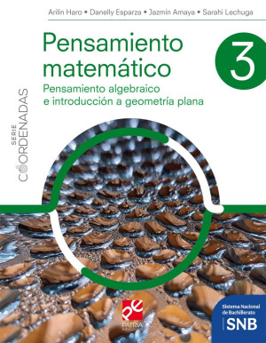 Pensamiento Matemático 3. Pensamiento Algebraico E Introducción A Geometría Plana / Serie Coordenadas / Bachillerato ( Privada )