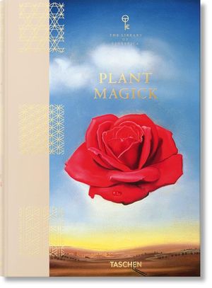 sotano_covers/9783836/9783836585675.jpg