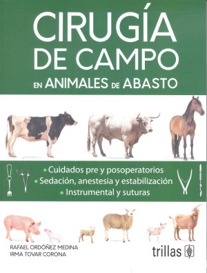 sotano_covers/9786071/9786071747600.jpg