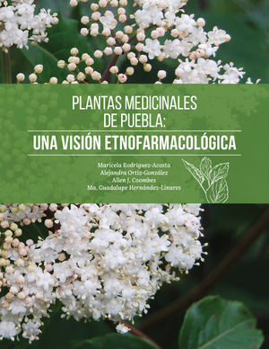 sotano_covers/9786075/9786075256900.jpg
